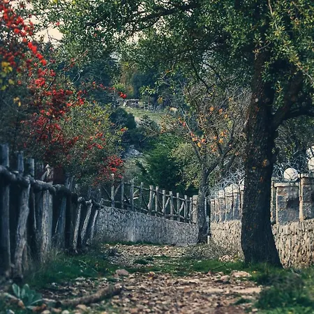 Vip 4 Seasons Arachova