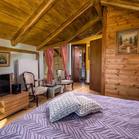 Apart Otel Vip 4 Seasons Arachova